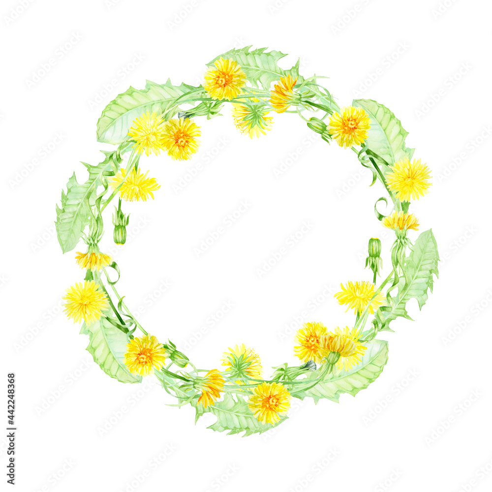 Watercolor round frame from dandelions, leaves, buds and stems. Wreath of bright summer flowers for invitation, menu, greeting cards Watercolor round frame from dandelions, leaves, buds and stems. Wreath of bright summer flowers for invitation, menu, greeting cards