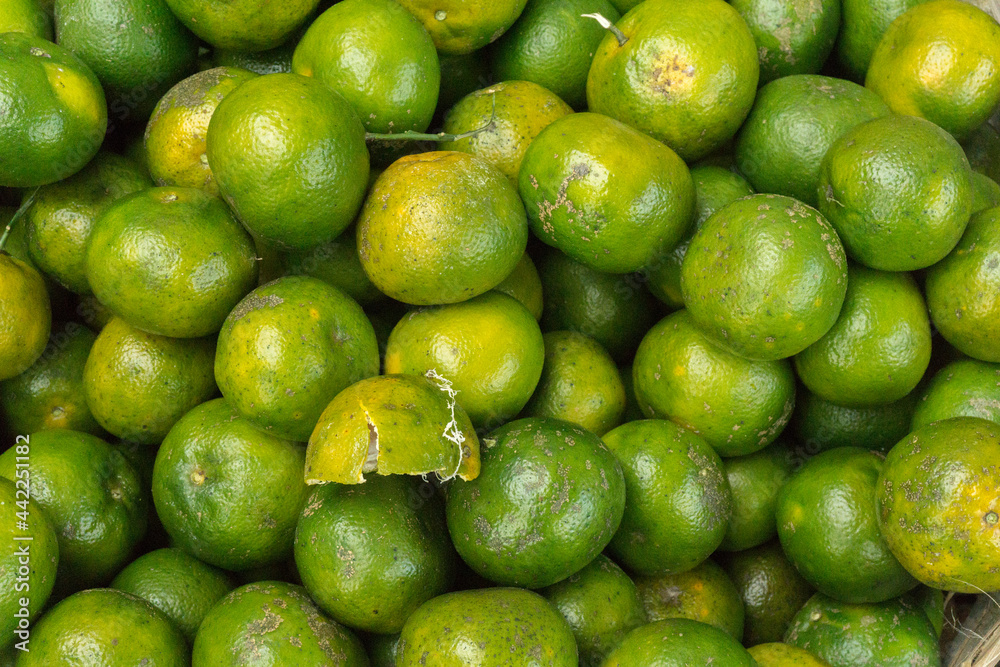 background of a collection of local green oranges from Indonesia background of a collection of local green oranges from Indonesia
