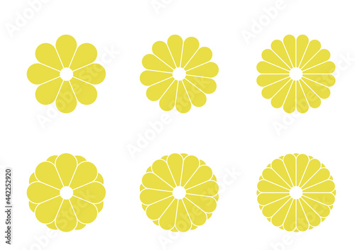 菊の花の主線なしイラスト　和風の花のデザイン　和文様