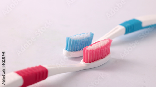 toothbrush in white background