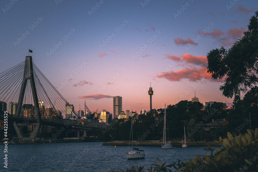 Obraz premium Sunset over Anzac Bridge and Sydney CBD, framed by the surrounding trees