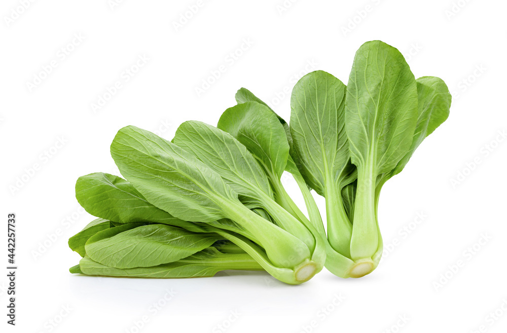 Bok choy vegetable on white Bok choy vegetable on white