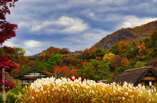 Gassho Zukuri Folk Village, Aesthetic fairy tale world, retro era sense. photo