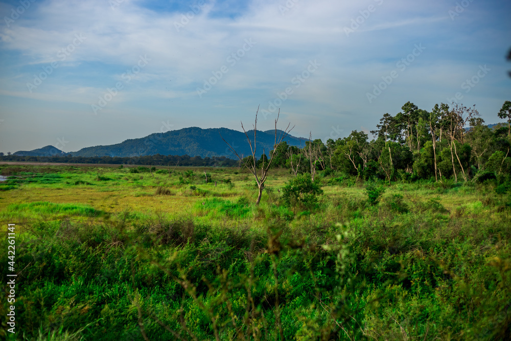 Panoramic natural background of green meadows along the reservoir, surrounding roads and winds and beautiful morning sunlight.