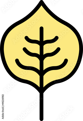 poplar leaf color outline icon