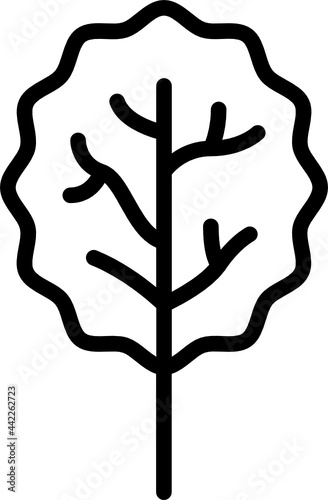 aspen leaf outline icon