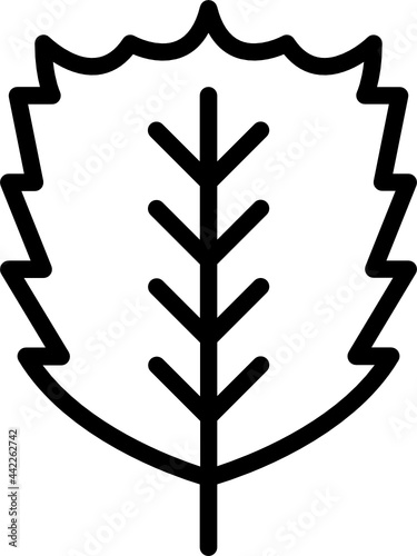 elm leaf outline icon