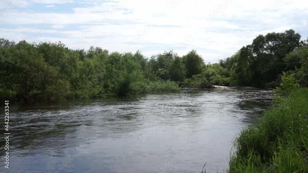 A small Siberian river with a strong current, summer, cloudy day A small Siberian river with a strong current, summer, cloudy day