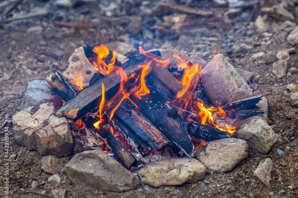 Close-up. A taiga bonfire built by tourists. Fireplace of stones in nature. Close-up. A taiga bonfire built by tourists. Fireplace of stones in nature.