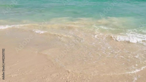Nudey Beach on Fitzroy Island, Far North Queensland voted Australia’s best beach in 2018 photo