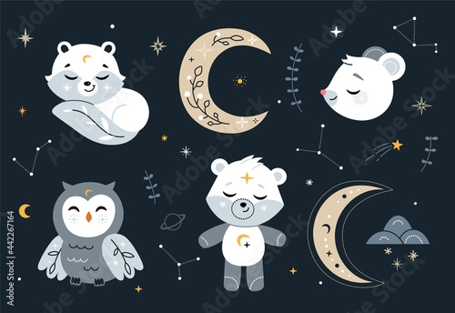 Cute nursery set with forest animals, stars and design elements. Vector.