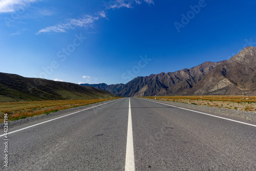 mysterious view of the mountain road