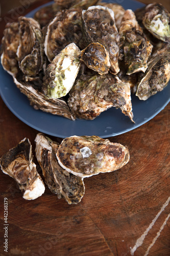 Fresh shelled oysters with seafood ingredients