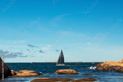 Sailboats sailing in sea against sky