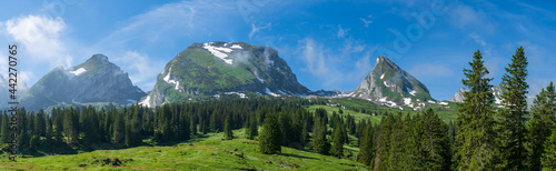 Churfirsten in der Schweiz