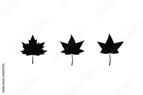 silhouette maple leaves icon different design on white background.maple leaf sign,flat style.concept for sign, symbol, icon ect