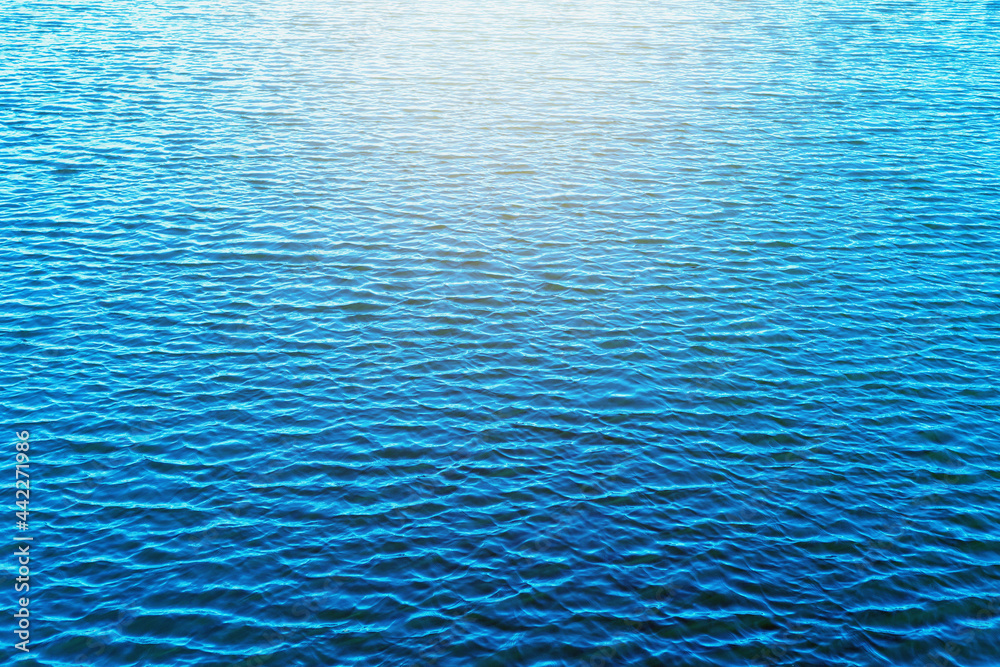 Obraz premium The water waves at the swamp had a soft sunlight in the evening.