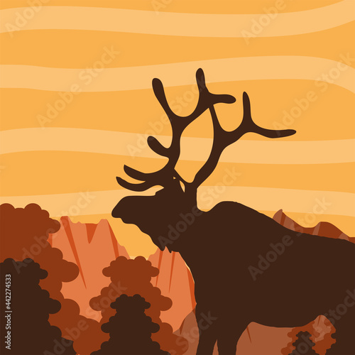 silhouette forest deer