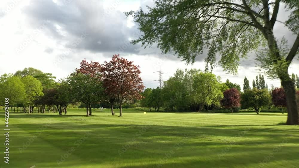 Short cut grass on the golf course with sunny weather, 4K Short cut grass on the golf course with sunny weather, 4K