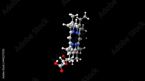 Animated 3D ball-and-stick and spacefill models of heme B, the most abundant heme photo