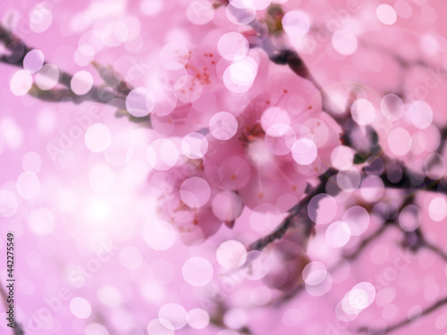 Blooming spring fruit tree, blurred bokeh pattern.