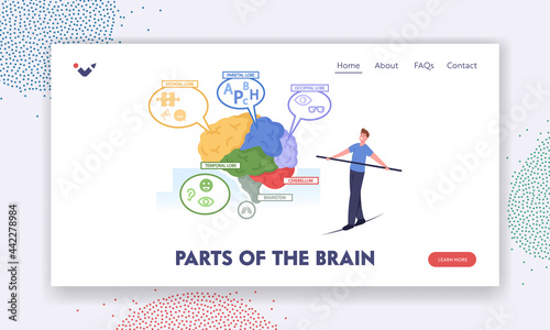 Parts of the Brain Landing Page Template. Tiny Male Character Balancing on Rope at Huge Human Brain Anatomy