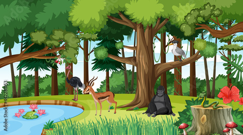 Forest scene with different wild animals