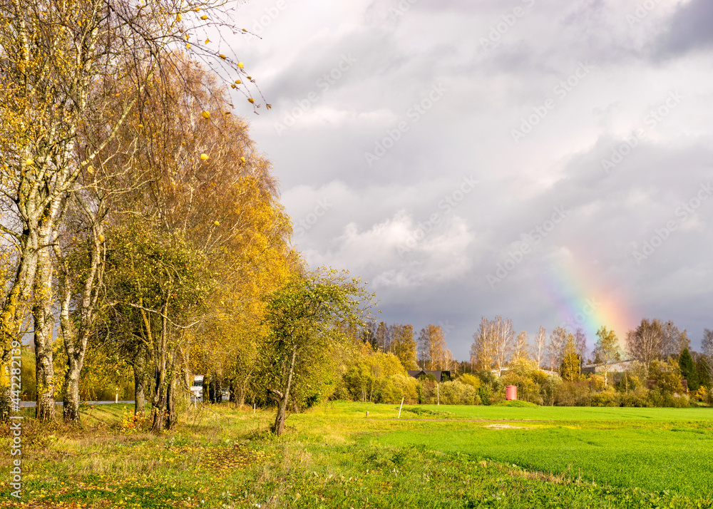 autumn landscape with a rainbow over beautiful colorful trees