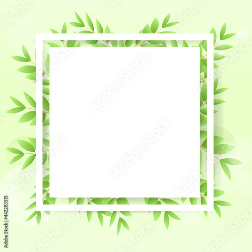 Green leaves frame with paper for text isolated on green background.