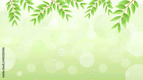 Green leaves frame isolated on white background.