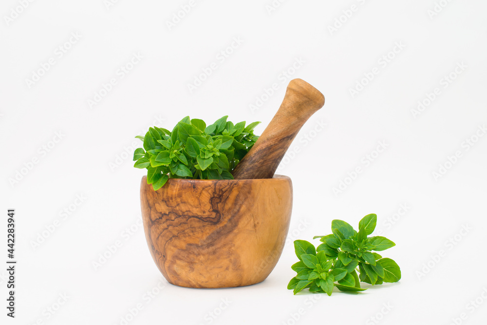 Fresh green basil leaves in wooden mortar and pestle on white background.
