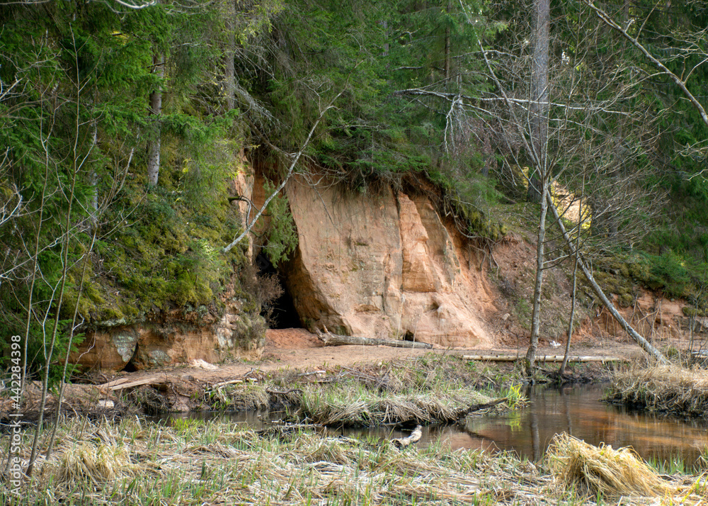 landscape with sandstone outcrops by a small wild river, sandstone texture, old grass, moss and other typical plants, Strikupe, Vaidava, Latvia landscape with sandstone outcrops by a small wild river, sandstone texture, old grass, moss and other typical plants, Strikupe, Vaidava, Latvia