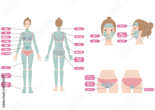 女性の全身イラストセット