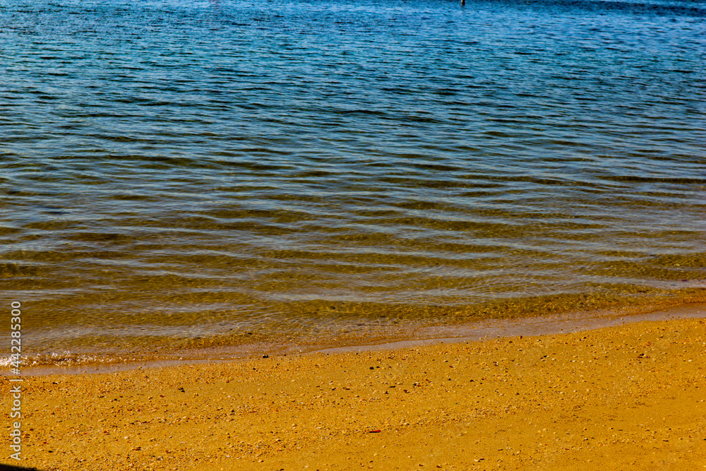 waves on the beach