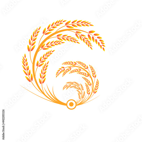 Vector logo design and elements of organic wheat grain, wheat ears, wheat seed, or wheat rye, prosperity symbol,Vecter illustration EPS 10.
