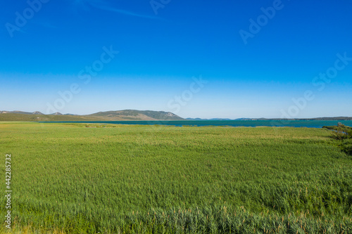 Beautiful ornithological nature park Vrana (Vransko jezero) in Dalmatia, Croatia