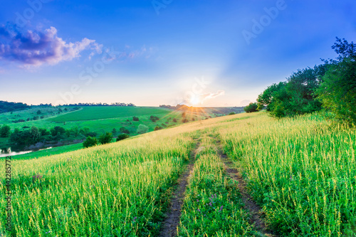 Fototapeta Naklejka Na Ścianę i Meble -  Beautiful summer landscape, beautiful view of the lake, surrounded by meadows and green forest. Blue sky over plain, nature, background