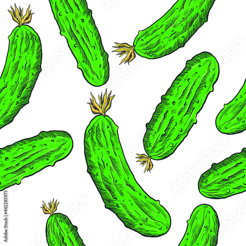 Vector fresh cucumbers seamless pattern on white background. Fresh and healthy vegetables. Green cucumber texture for background, wallpaper, textile fabric prints, wrapping paper or banner design.