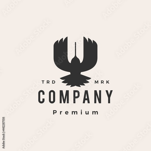 hummingbird colibri top view hipster vintage logo vector icon illustration