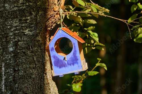 DIY blue bird feeder. Handmade birdhouse for birds. Tree house and bird food. Taking care of animals.