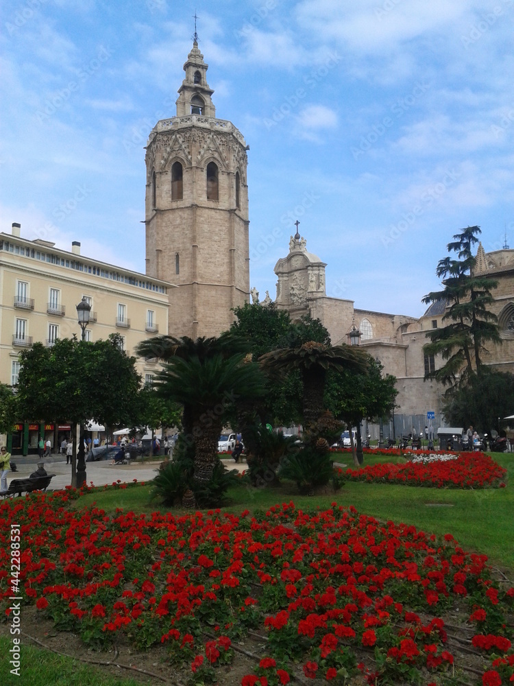 Fototapeta premium PLAZA DE LA REINA, Located in the heart of the old town area of Valencia is Plaza de la Reina. This is a pretty square, with flowers in the middle, and cafes, restaurants