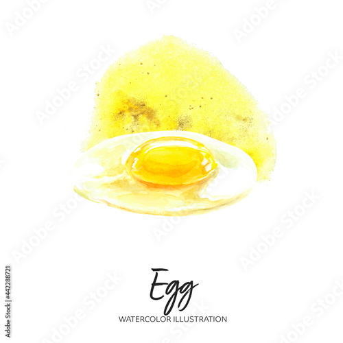 Eggs watercolor illustration isolated on splash background photo