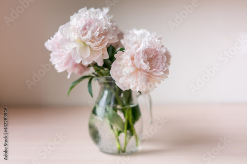 Bouquet of flowers peony in glass a vase. Copy space