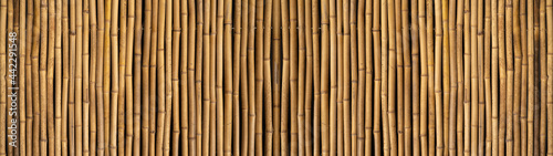 Fototapeta Naklejka Na Ścianę i Meble -  Bamboo tubes fence texture background banner panorama