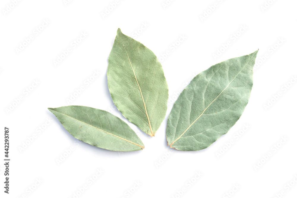 Three dried bay leaves or laurel isolated on white Three dried bay leaves or laurel isolated on white