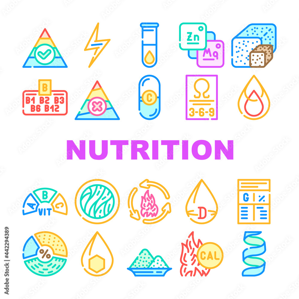 Nutrition Facts Diet Collection Icons Set Vector. Energy Nutrition And Saturated Fat, Vitamin And Calorie Content, Ratio In Grams And Percent Concept Linear Pictograms. Contour Color Illustrations Nutrition Facts Diet Collection Icons Set Vector. Energy Nutrition And Saturated Fat, Vitamin And Calorie Content, Ratio In Grams And Percent Concept Linear Pictograms. Contour Color Illustrations