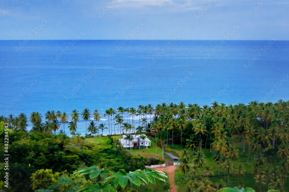 luxury villa in the dusk on a white sandy beach on the island with coconut palms above the sea waves from above