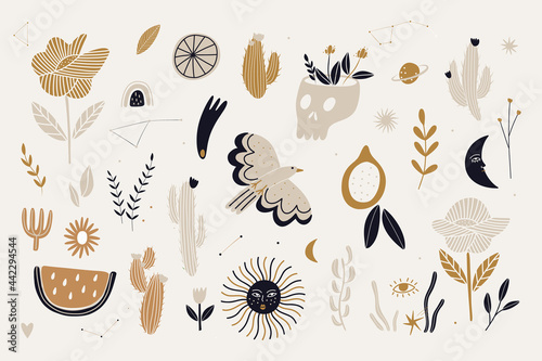 boho cosmos elements in modern style. for printing logos on fabric, paper and other designs.