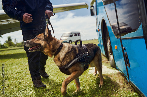 Security officer and dog inspecting territory of aerodrome