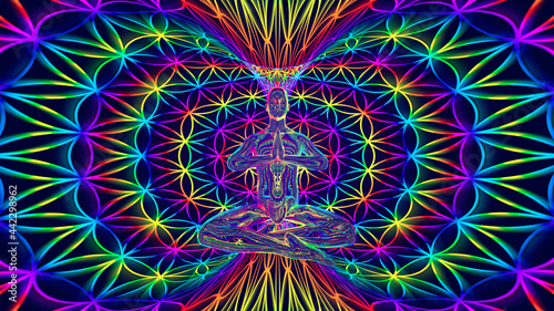 flower of live torus meditation